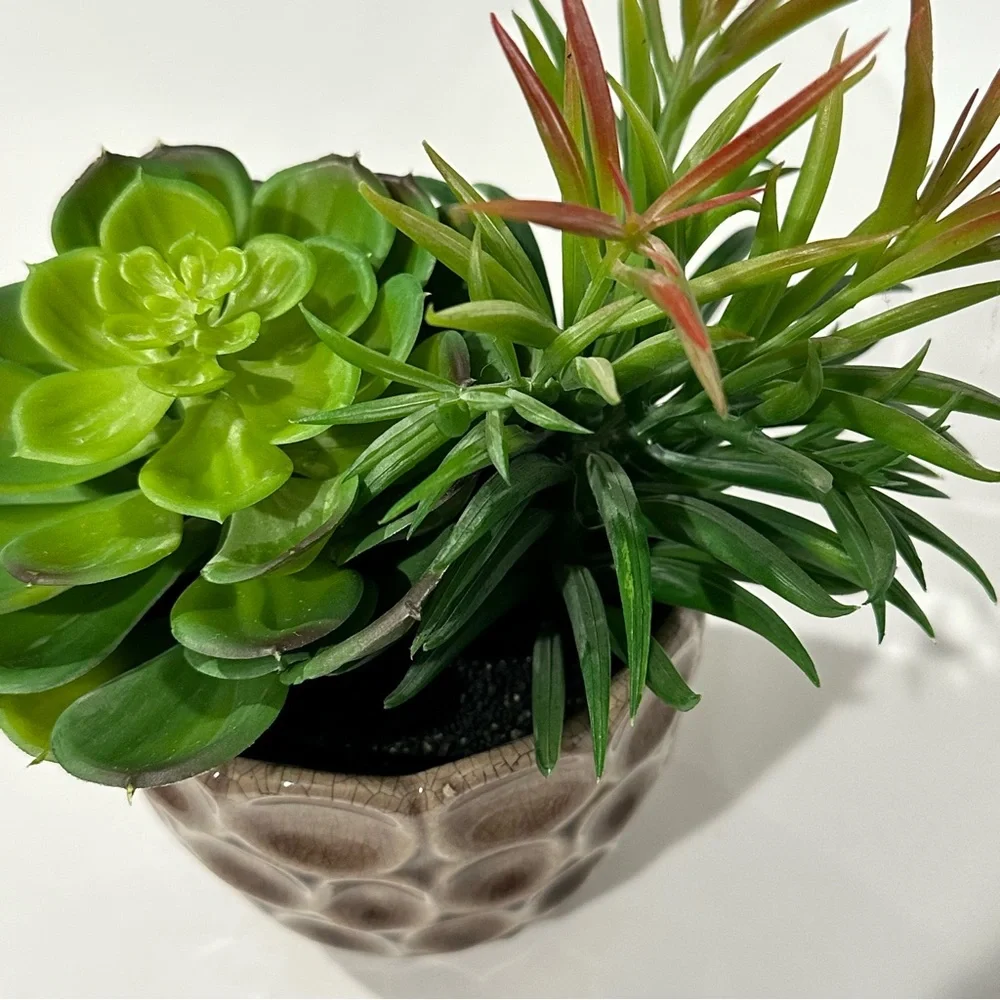 Ceramic Potted Faux Succulents Artificial Plant Decor